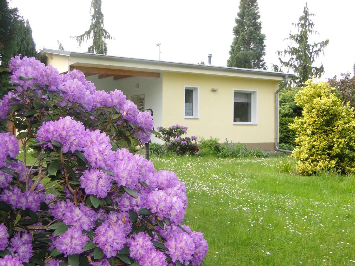 Sommerhaus im Grünen Berlín Exterior foto